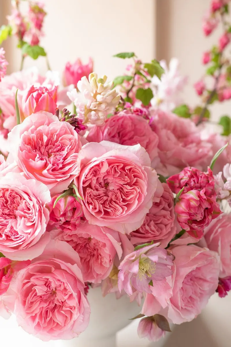 Portfolio image for David Austin Wedding Roses