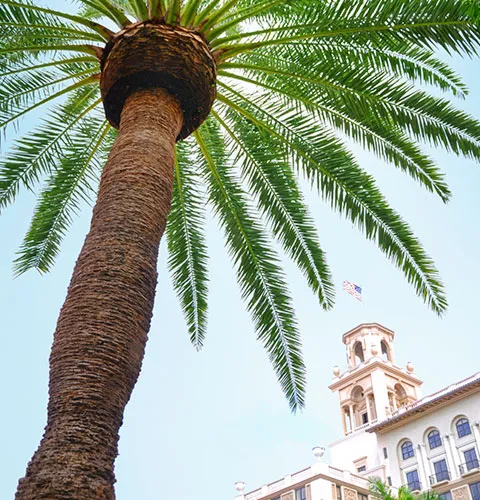 Gallery image for The Breakers Palm Beach