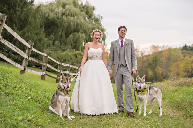 Portfolio image for Daria Bishop Photography
