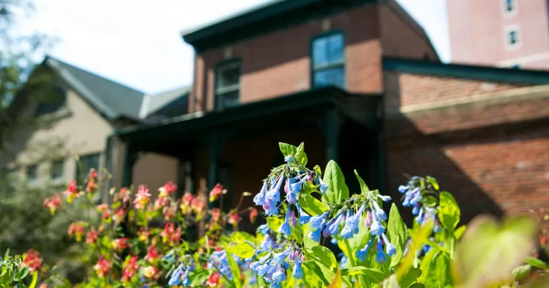 Portfolio image for Delaware Center for Horticulture