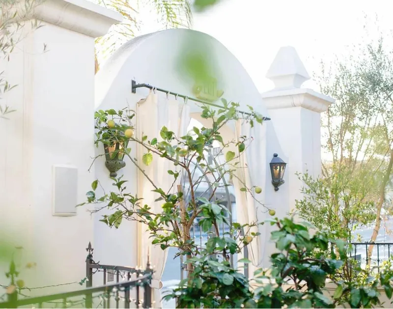 Portfolio image for Villa & Vine Weddings