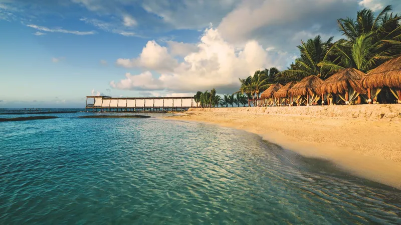 Gallery image for El Dorado Seaside Palms