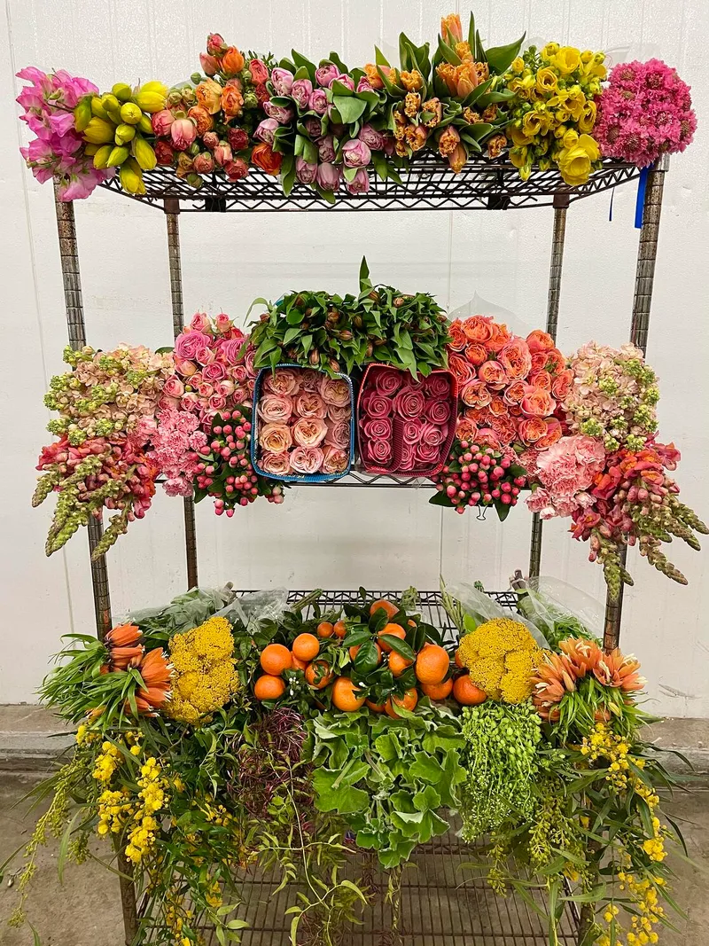 The Wild Orchid Florist and Flower Shop