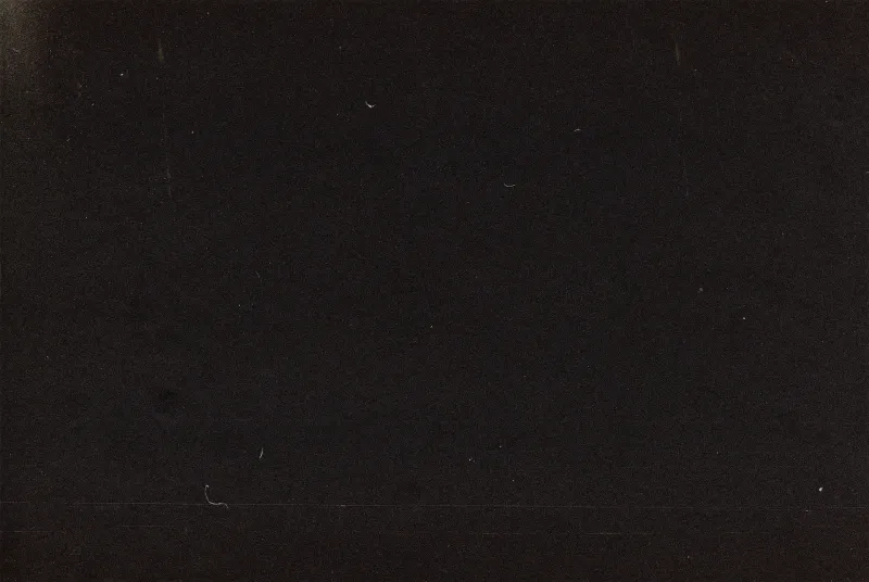 Portfolio image for Salt + Pine Films
