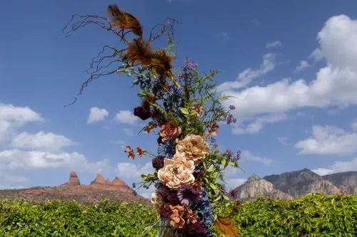 Gallery image for The Venue at Sedona Center