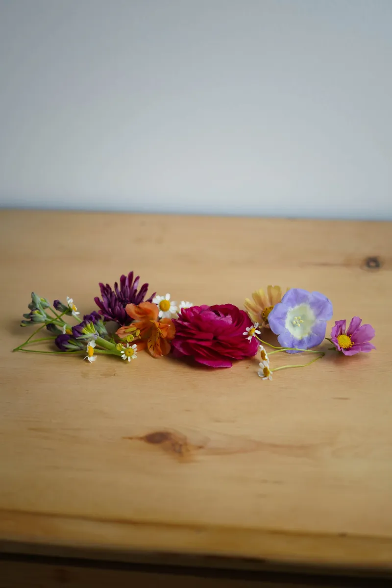 Portfolio image for Poppy & August