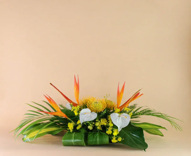 Portfolio image for Bella Bloom Maui