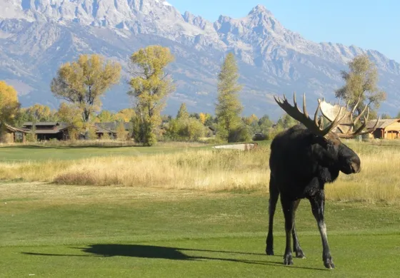 Gallery image for Jackson Hole Golf & Tennis Club