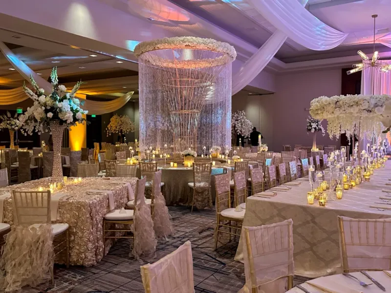 Portfolio image for Millennium Events