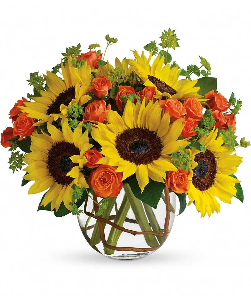 Portfolio image for Welke's House of Roses