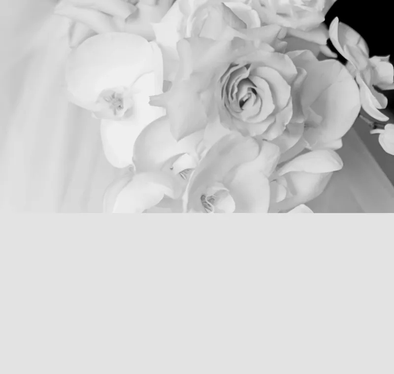 Portfolio image for Claire Ryser