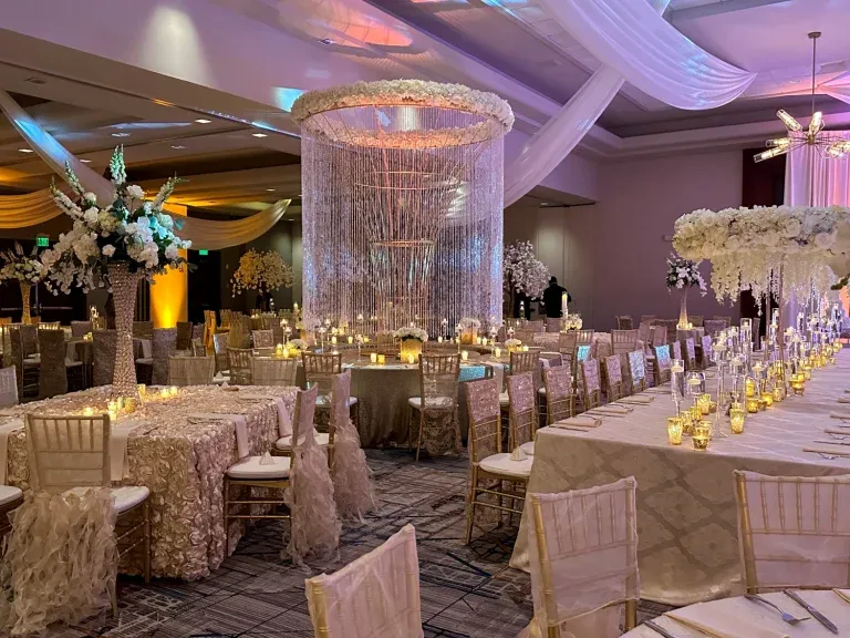 Portfolio image for Millennium Events