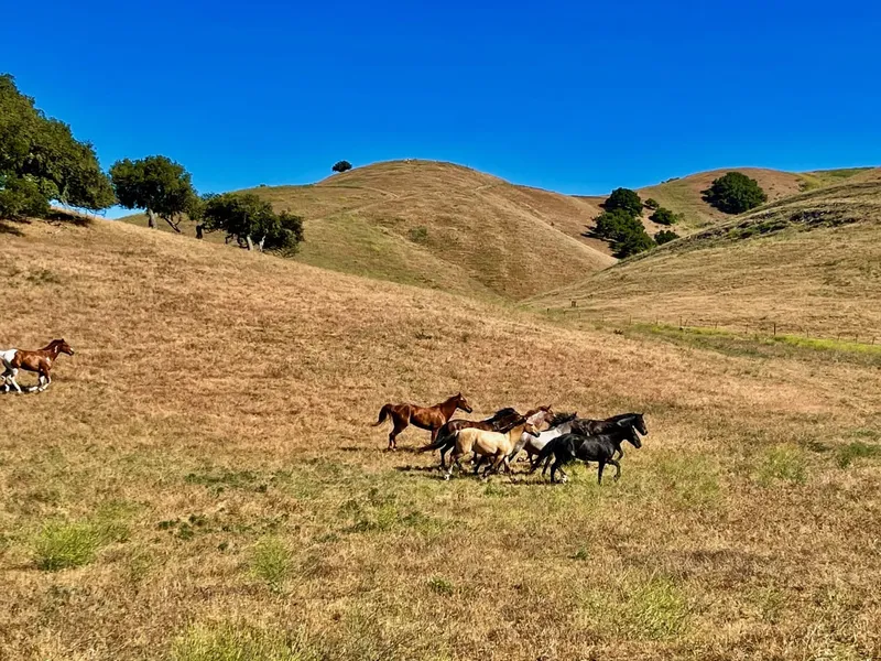 Gallery image for Las Cumbres Ranch