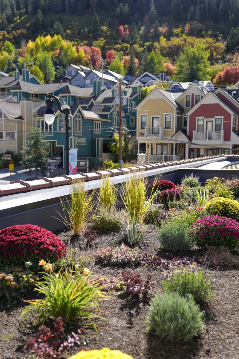 Gallery image for Kimball Terrace