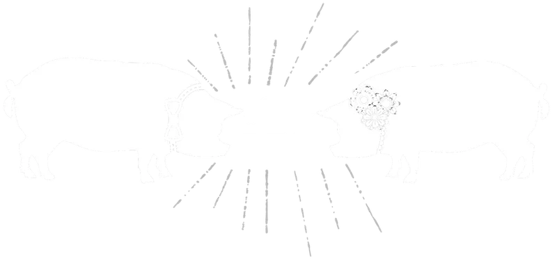 Old Southern BBQ Catering