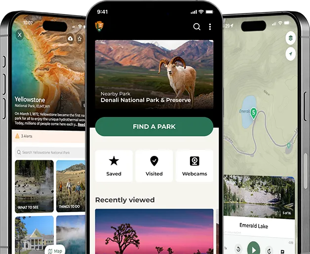 Gallery image for Grand Teton National Park