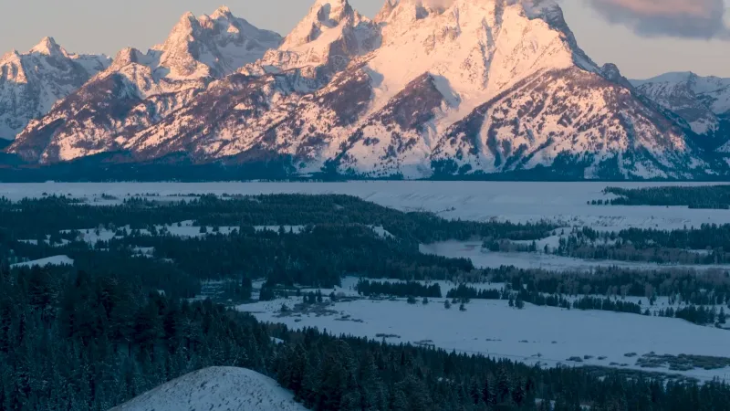 Faraway Jackson Hole