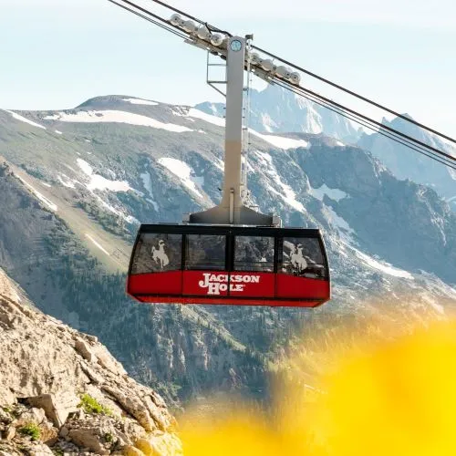 Gallery image for Rendezvous Lodge