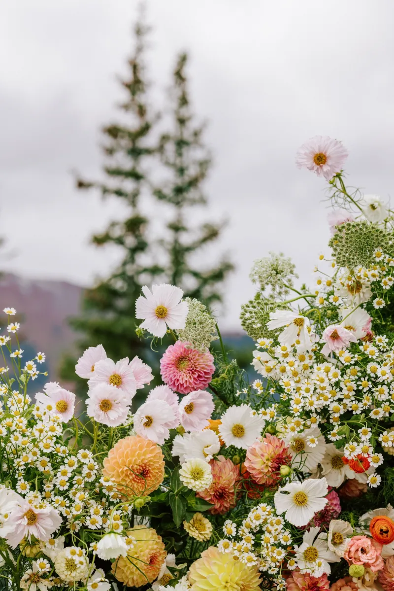 Portfolio image for Betsi Ewing Weddings