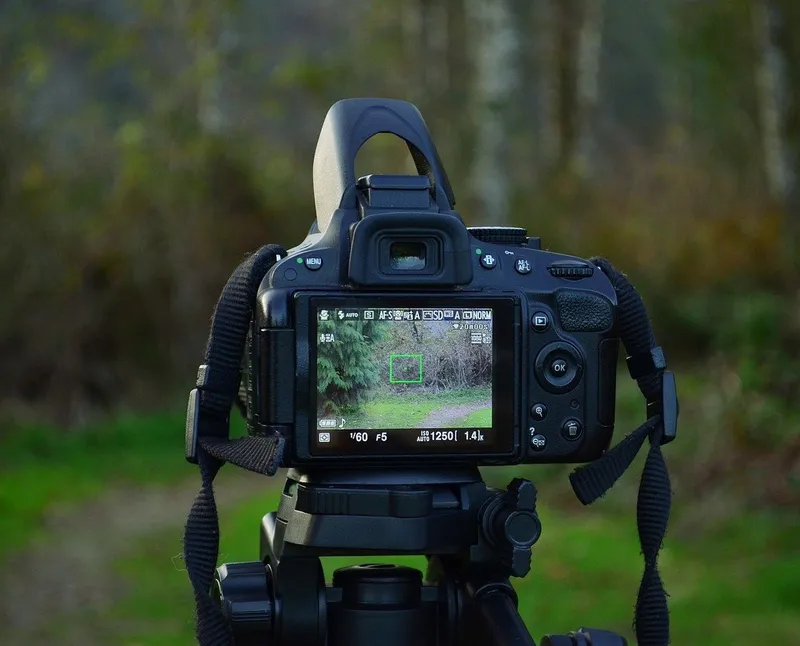 Portfolio image for OSSS Photography and Videography