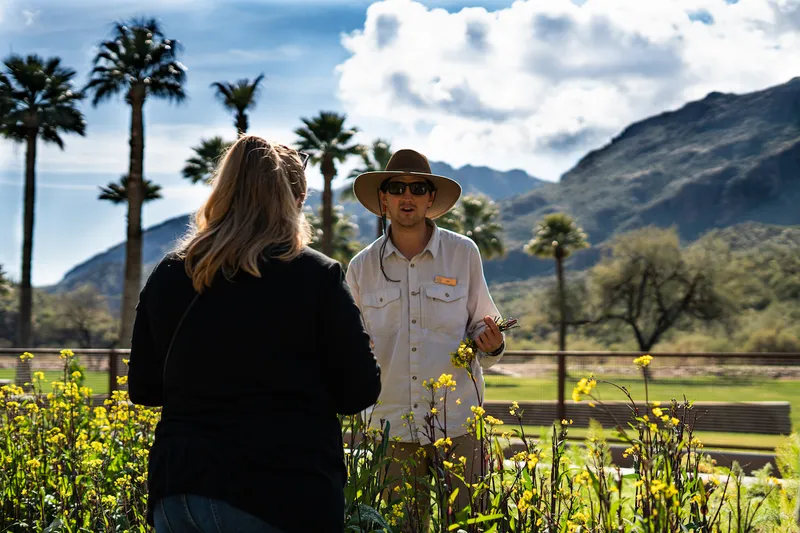 Portfolio image for Castle Hot Springs
