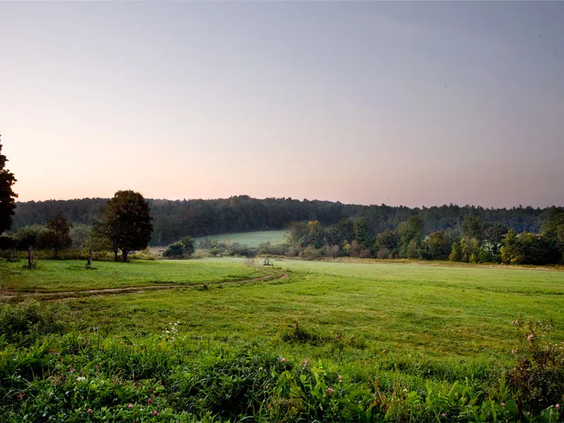 Gallery image for Blue Hill Farm