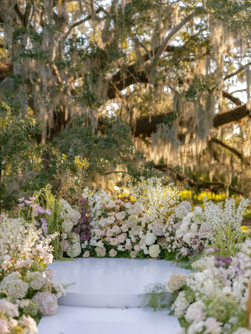 Portfolio image for Antigua Floral