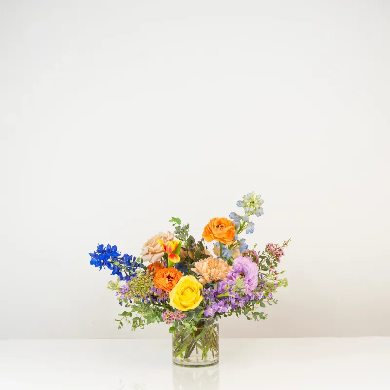 Portfolio image for The English Garden