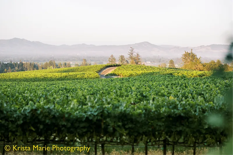 Vine Hill House at O'Connell Vineyards