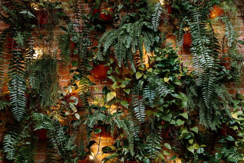 Gallery image for The Arbory