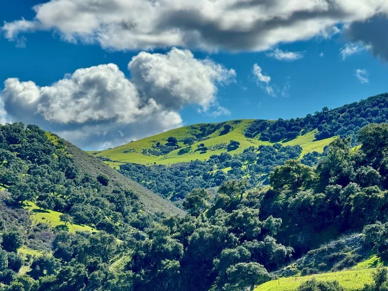 Gallery image for Las Cumbres Ranch