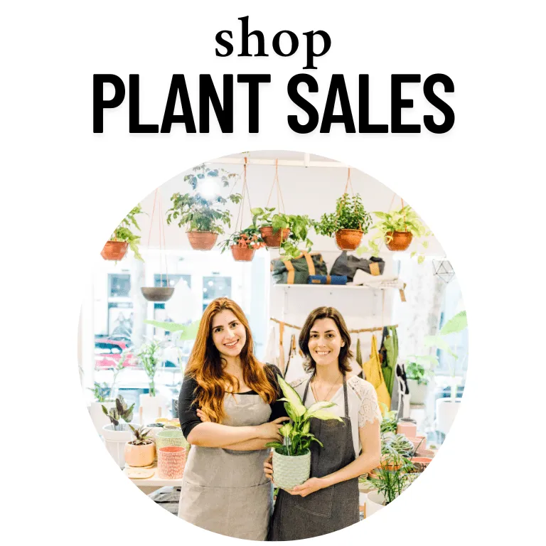 Portfolio image for Nashville Florist LLC