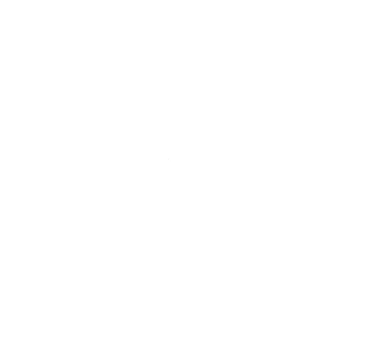 Portfolio image for The Ugly Onion