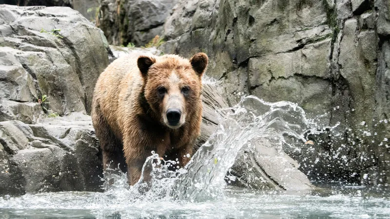 Gallery image for Central Park Zoo