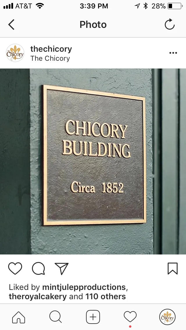 Portfolio image for The Chicory