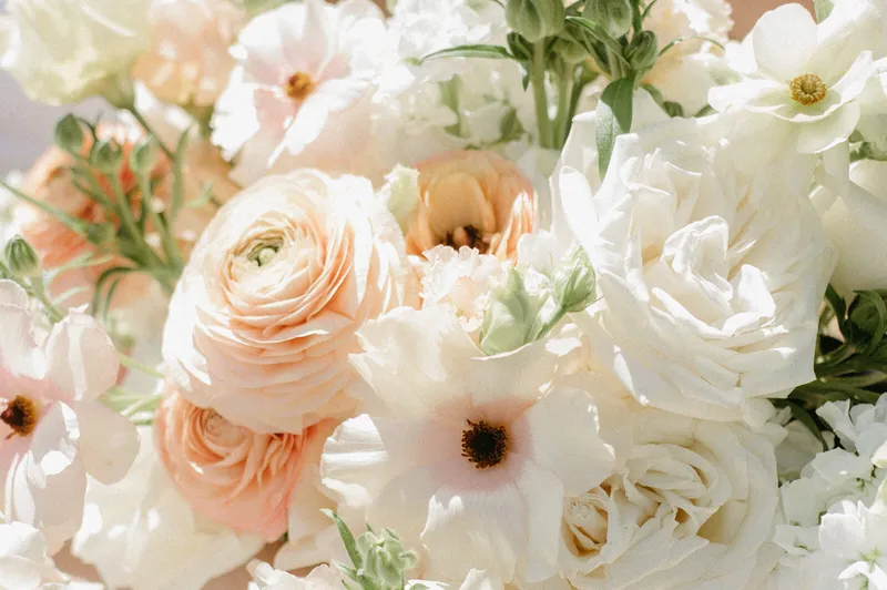 Coastal Rose Events