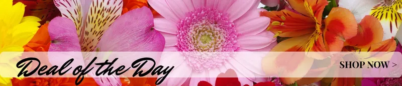 Anderson Florist