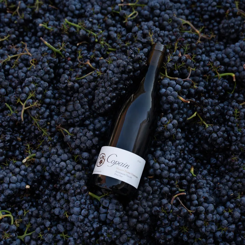 Gallery image for Copain Wines