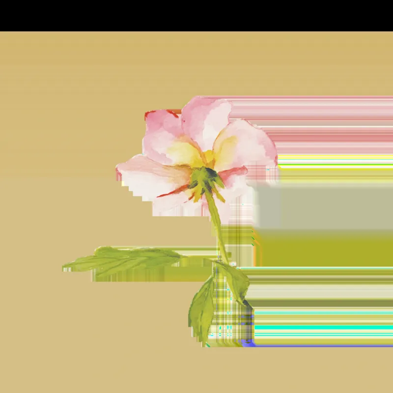 Gallery image for The Wildflower 301
