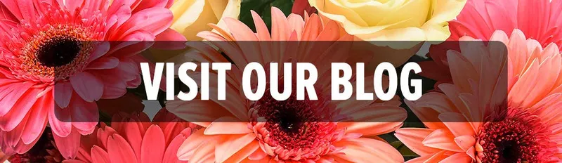 Portfolio image for Bagoy's Florist & Home
