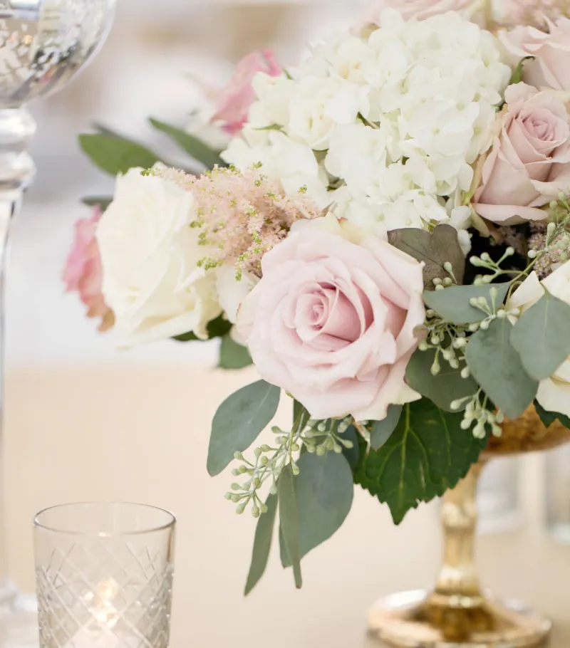 Portfolio image for Fat Cat Flowers