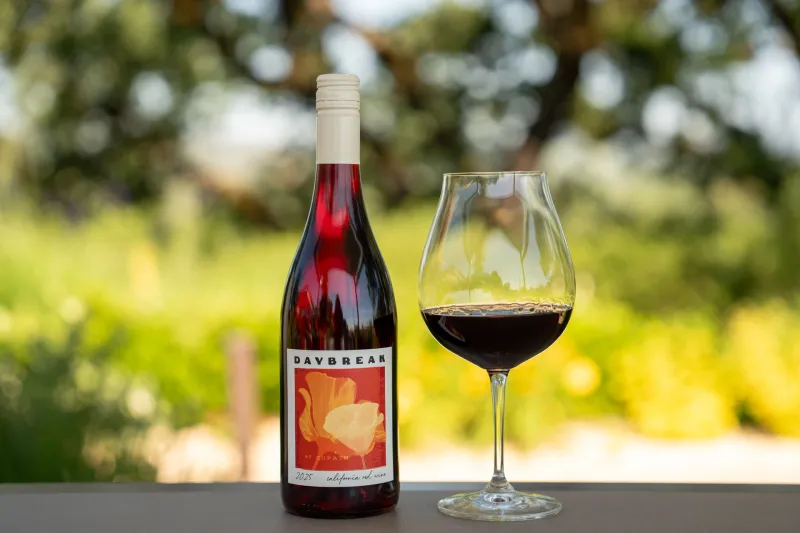 Copain Wines