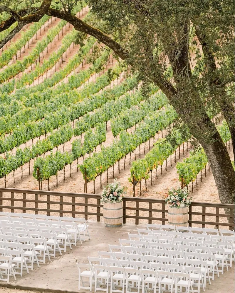 Gallery image for B.R. Cohn Winery