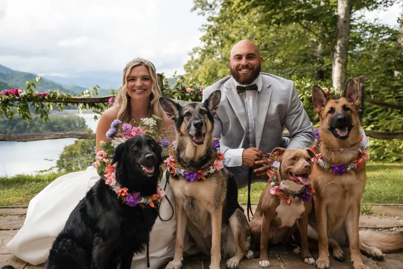 Portfolio image for White Pine Wedding Photo & Films