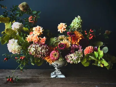Terra Bella Flowers