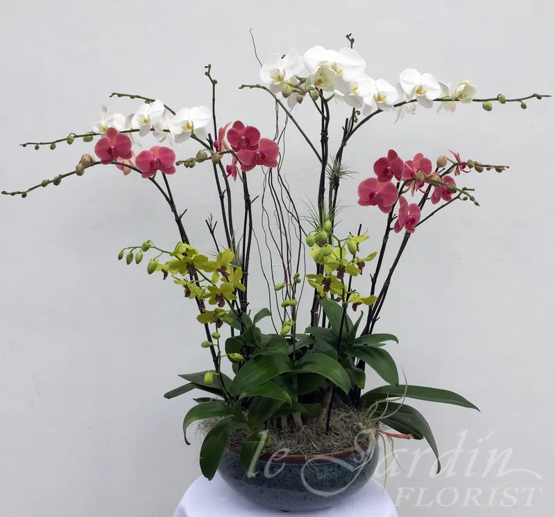 Portfolio image for Florist Palm Beach Gardens