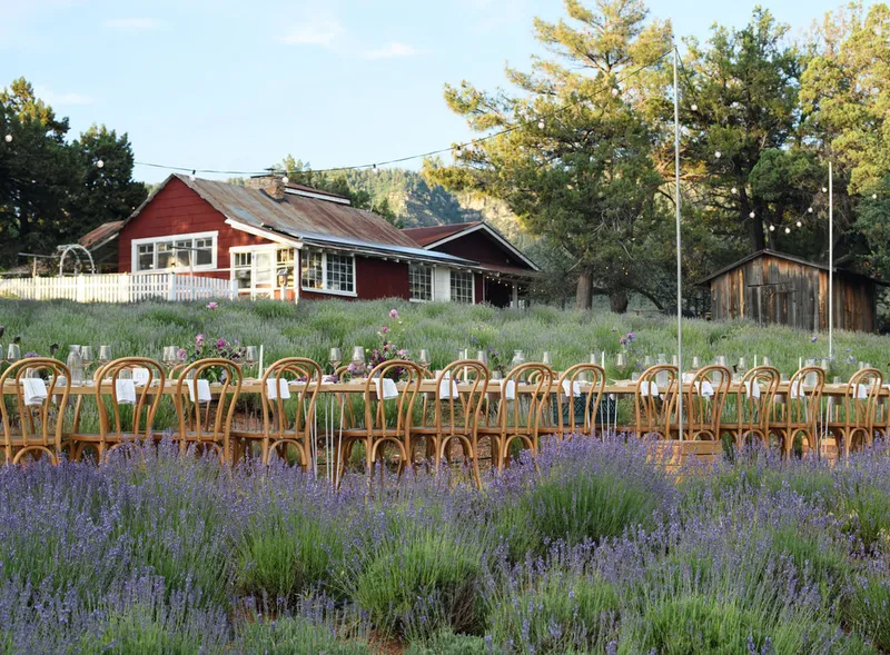 Pine Creek Canyon Lavender Farm